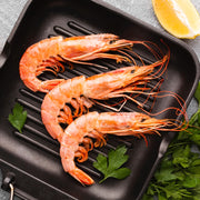 Black Tiger gamba's 6/8 - met kop