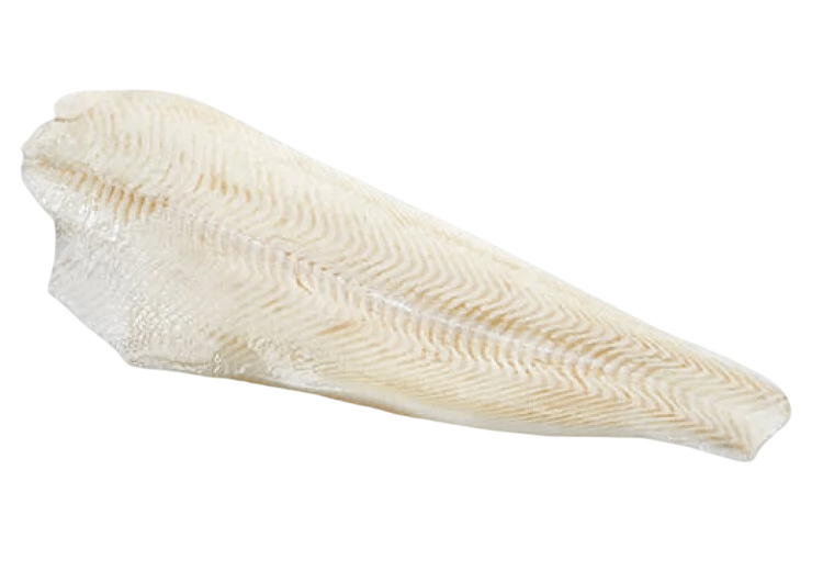 Heilbotfilet - Food to Enjoy