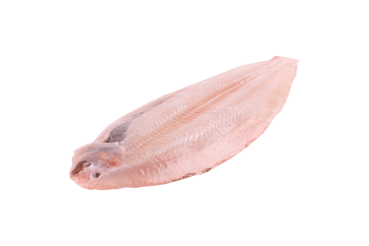 Zeetong - Food to Enjoy