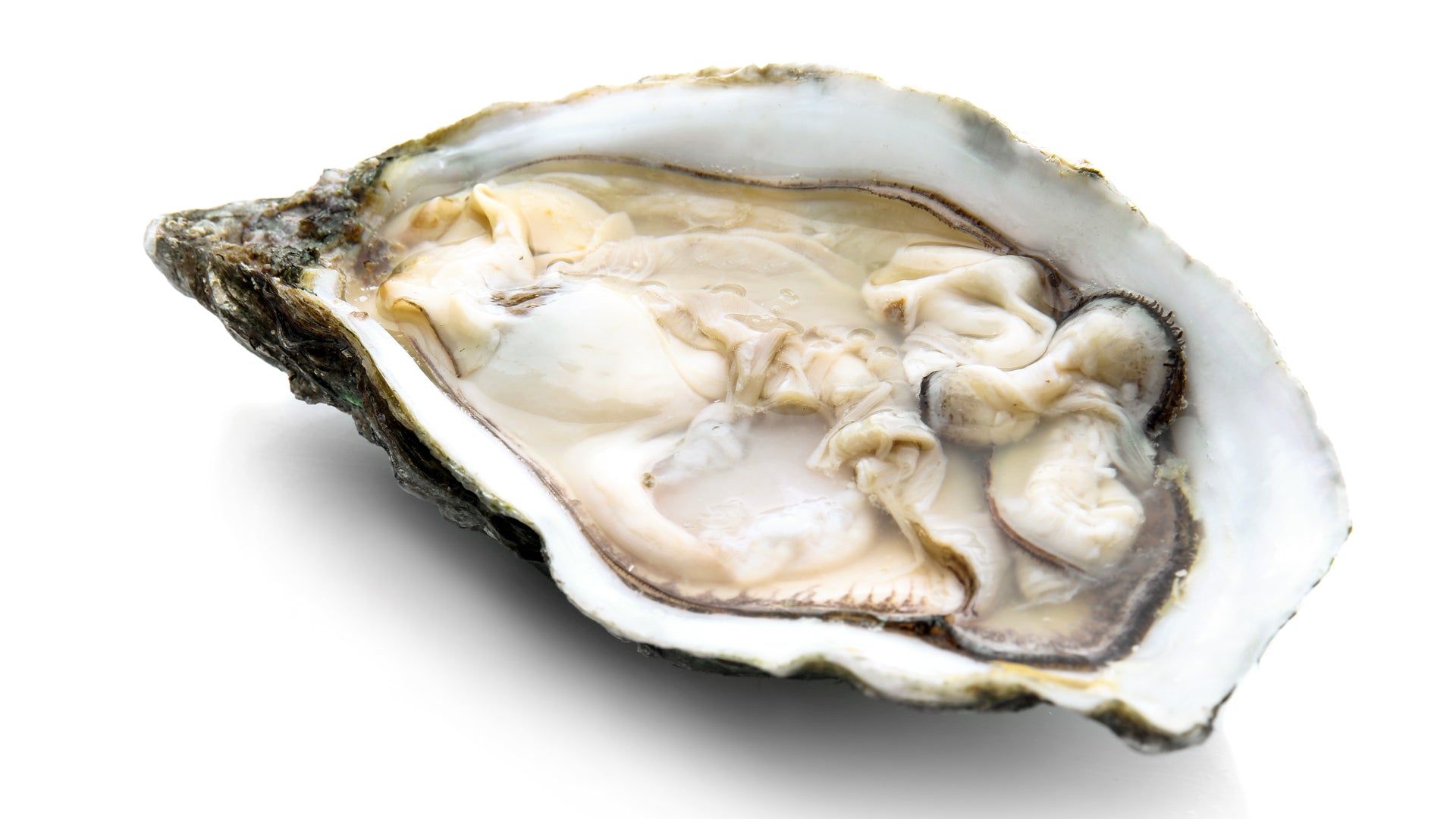 Oesters - Oirsri
