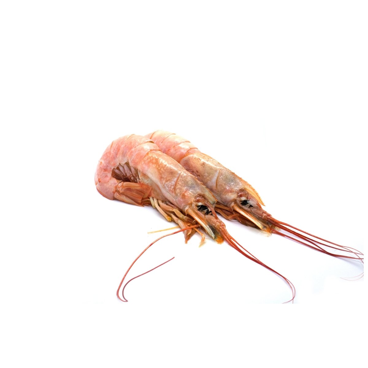 Argentijnse wilde gamba met kop - Food to Enjoy