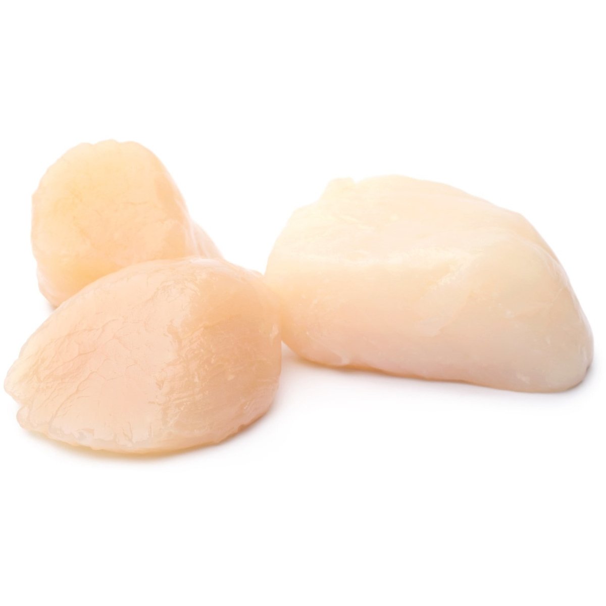 Canadese coquilles shock frozen - Food to Enjoy