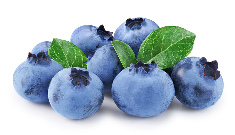 Blauwe bessen